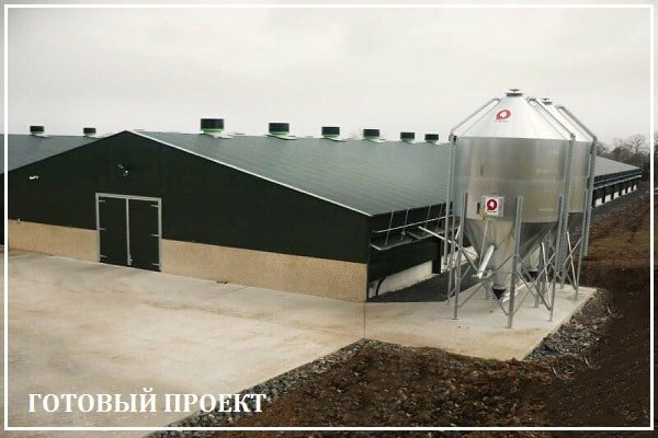 Этапы возведения птицефабрики от завода ВелесТент-кгн